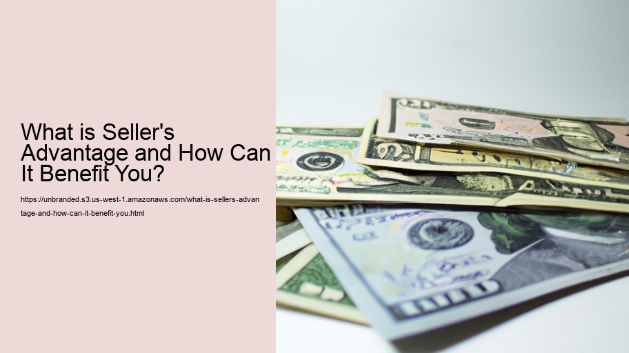 What is Seller's Advantage and How Can It Benefit You?